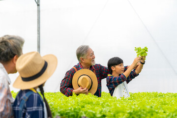 Happy Asian family farmer working together in hydroponics system vegetable farm. Grandparents teaching little grandchild boy and girl growing and caring organic lettuce vegetable in greenhouse garden. - obrazy, fototapety, plakaty