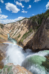 The Lower Falls of the Yellowstone with Rainbow