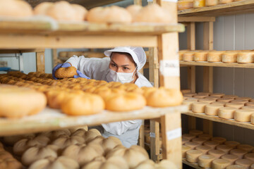 Confident woman cheesemaker wearing white robe and protective face mask checking aging process of...