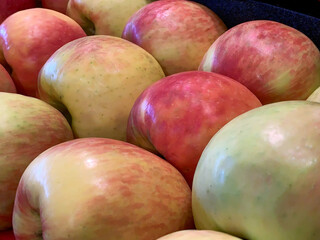 Gala variety apples lined up for sale