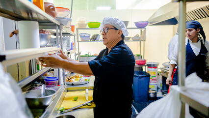 Professional cook working in the kitchen. Chef in action