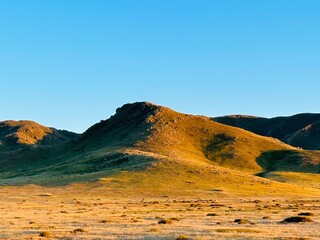 Fototapeta na wymiar Grasslands, Mongolia