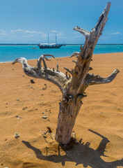 Boat seen behind a twisted tree trunk on a small beach on a deserted island located in Cabrália, Porto Seguro.