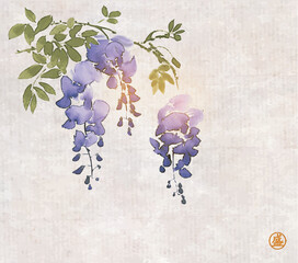 Ink painting of blooming wisteria. Traditional oriental ink painting sumi-e, u-sin, go-hua on vintage background. Translation of hieroglyph - bloom