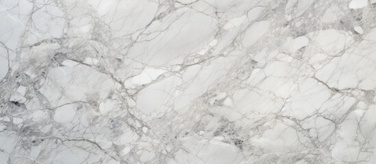 This close-up view showcases the intricate details of a white marble texture, revealing the high resolution and Italian grey effect.