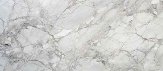 Obraz premium This close-up view showcases the intricate details of a white marble texture, revealing the high resolution and Italian grey effect.