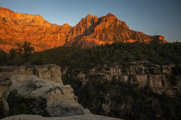 Fototapeta premium Shadows Fill Scoggins Wash Below The Glowing Mount Kinesava In Zion