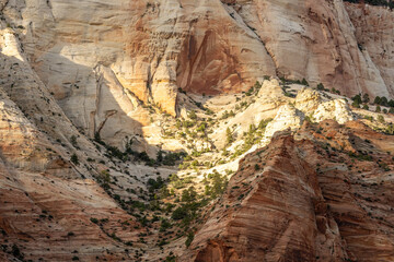 Sun Highlights The Detail In The Wall Of East Temple In Zion