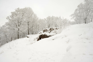 A winter landscape: winterwonderland snowscape frosty coldweather snowyday wintermagic winterphotography