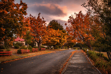 The autumn view of the country road in Tarraleah town in Tasmania in the dusk 