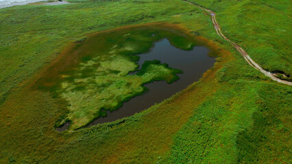 Small pond on green agricultural field in spring. Clip. Aerial of green meadow and tiny lake.