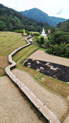 Top view of a bamboo bridge to white pagoda and Phra Chao Ton Luang a large outdoor golden Buddha statue. Sitting in the middle of a rice field at Wat Nakhuha there are beautiful natural places. 