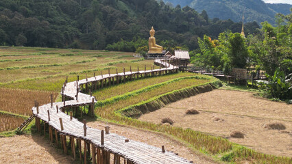 A bamboo bridge to Phra Chao Ton Luang a large outdoor golden Buddha statue. Sitting in the middle of a rice field at Wat Nakhuha there are beautiful natural places. Located at Phrae in Thailaqnd.