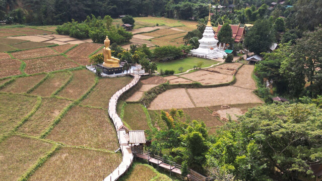 Top view of a bamboo bridge to white pagoda and Phra Chao Ton Luang a large outdoor golden Buddha statue. Sitting in the middle of a rice field at Wat Nakhuha there are beautiful natural places. 