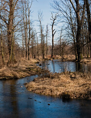 
"Dolina Bystrzycy: #DolinaBystrzycy #Poland #nature #river #landscape #scenicview"