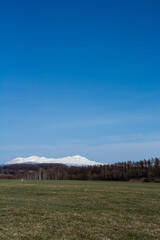 Fototapeta premium 春の晴れた日の牧草畑と雪山 大雪山 