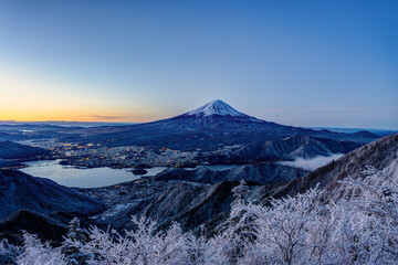 Panoramic view of snow-capped Mt. Fuji with snow trees early in the morning.