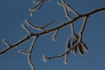 barbed wire against blue sky