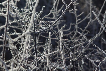 frost on the window