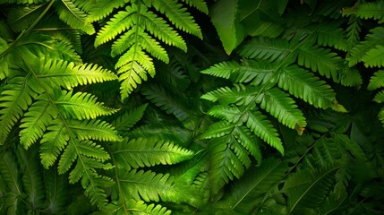 Green leaves of tree ferns generative ai - obrazy, fototapety, plakaty