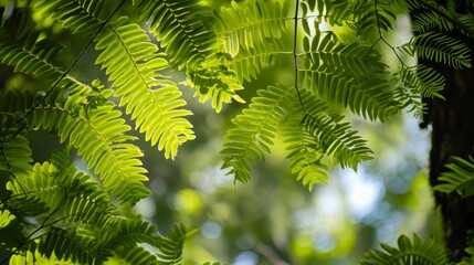 Green leaves of tree ferns generative ai
