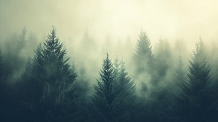 Fototapeta premium Misty landscape with fir forest in vintage retro style generative ai