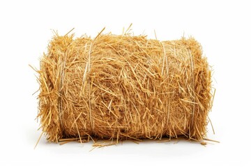 Round hay bale isolated on white background