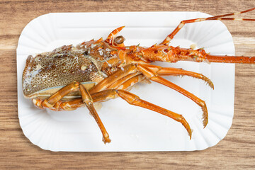 top view lobsters shell at horizontal composition