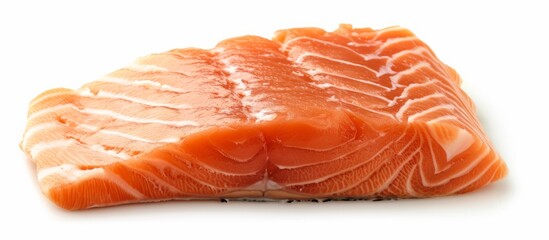 Fresh raw salmon fillet on a clean white background, perfect for seafood menus and recipes