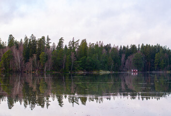lake in the forest