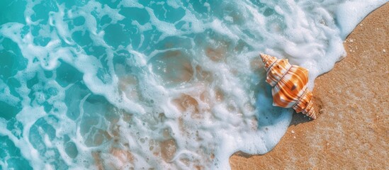 Fototapeta na wymiar A seashell lies on the sandy beach, nestled next to the vibrant turquoise ocean waves under a summer sky.