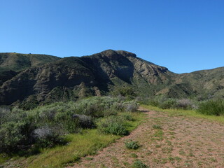 Trail in the mountains