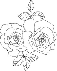 minimal roses svg png background remove