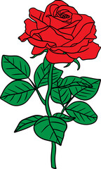 minimal roses svg png background remove