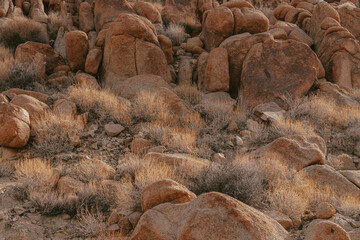 rocks in the desert