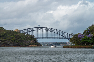 Sydney harbor bridge in the distance.
