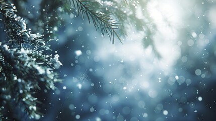 Fototapeta na wymiar Christmas winter snow background with fir branches macro with soft focus and snowfall in blue tones with beautiful bokeh in sunny day copy space : Generative AI