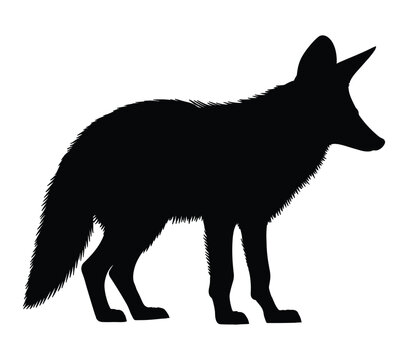 Black and white vector illustration of Aardwolf.