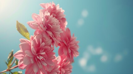 Beautiful flower against blue sky : Generative AI