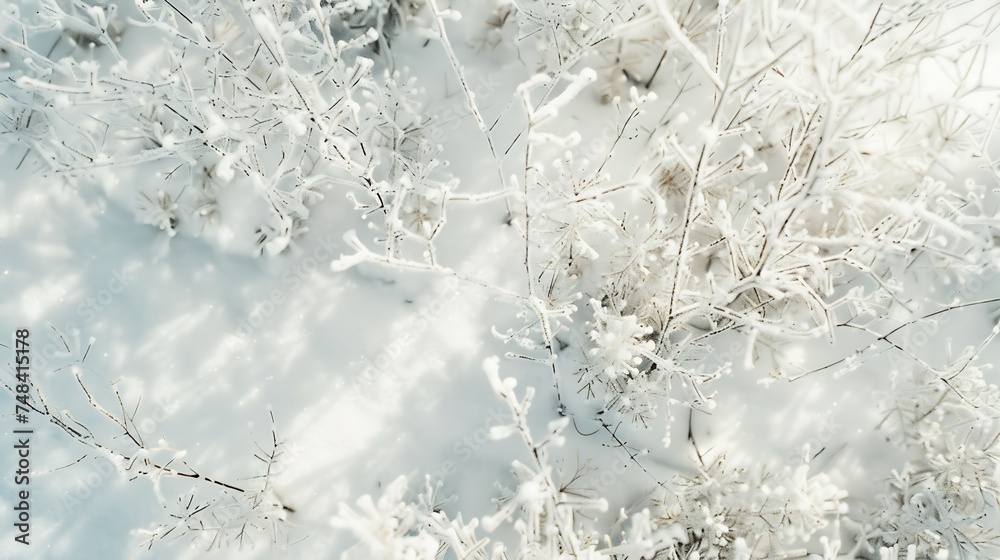 Aufkleber white winter branches under the sparkling fluffy snow hoarfrost on the branches and plants snowdrift