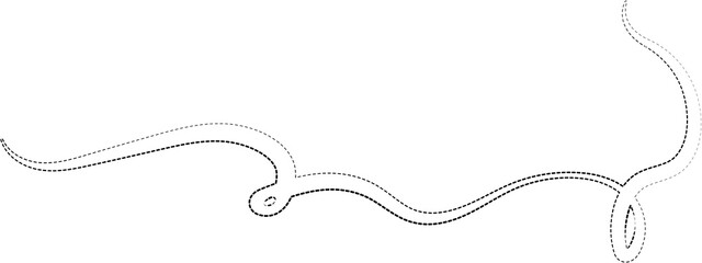 Dashed lines warped and curved. Decorative for fun