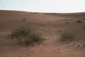 Tengri Desert in the Inner Mongolia Autonomous Region in China