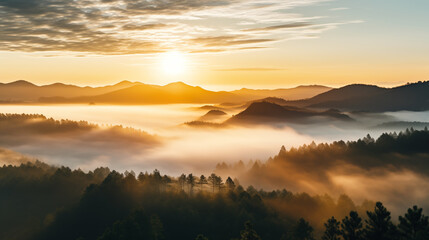 Fog mountain and sunrise in the forest.