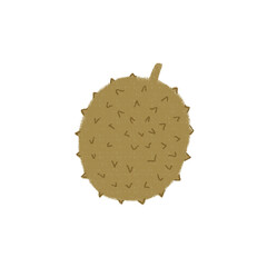 doodle cartoon fruit flat color durian