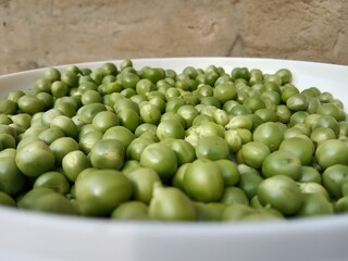 Grains or seed of Pisum sativum or pea grains or seeds or garden pea seeds or grains