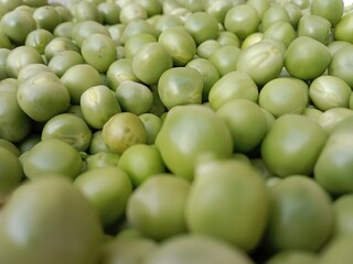 Grains or seed of Pisum sativum or pea grains or seeds or garden pea seeds or grains