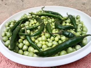 Grains or seed of Pisum sativum with Lycopersicon esculentum or Capsicum annuum L Green chilli or pea grains or seeds with Green chilli or garden pea seeds or grains with Green chilli
