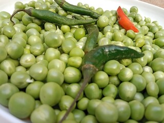 Grains or seed of Pisum sativum with Lycopersicon esculentum or Capsicum annuum L Green chilli or pea grains or seeds with Green chilli or garden pea seeds or grains with Green chilli