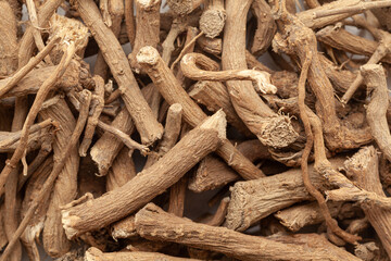 Close-up of Dry Organic Wild Castor or Dantimool (Baliospermum Montanum) herb, Full-Frame wallpaper. Top View