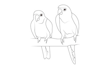 Love birds for cute children